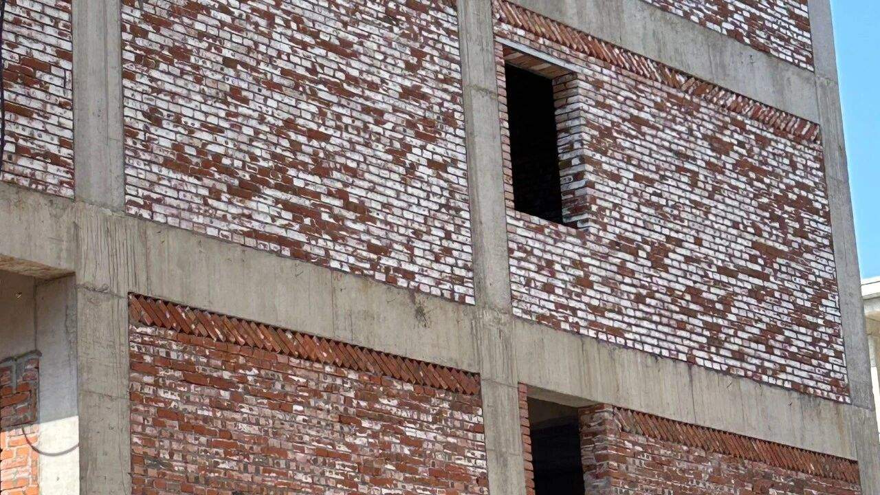 White Stains on My Bricks — Should I Worry?